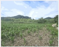  2025Ÿ��5370 ��� ��õ�� ����� ���� 396-2      ����(��1)���