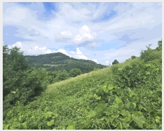  2025Ÿ��5370 ��� ��õ�� ����� ���� 396-2      ����(��1)���