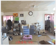  2025Ÿ��5372  ���ð��