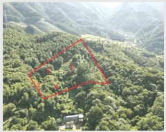  2025Ÿ��5374 ��� �ܾ籺 ������ �Ͽ�� 106-2      ����(�Ӿ�)���