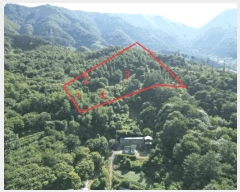  2025Ÿ��5374 ��� �ܾ籺 ������ �Ͽ�� 106-2      ����(�Ӿ�)���