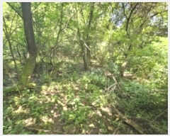  2025Ÿ��5374 ��� �ܾ籺 ������ �Ͽ�� 106-2      ����(�Ӿ�)���