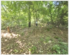  2025Ÿ��5374 ��� �ܾ籺 ������ �Ͽ�� 106-2      ����(�Ӿ�)���