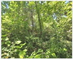  2025Ÿ��5374 ��� �ܾ籺 ������ �Ͽ�� 106-2      ����(�Ӿ�)���