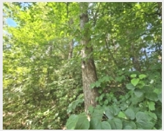  2025Ÿ��5374 ��� �ܾ籺 ������ �Ͽ�� 106-2      ����(�Ӿ�)���