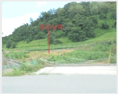  2025Ÿ��5388 ��� ��õ�� ����� ���⸮ 480-2      ����(��)���