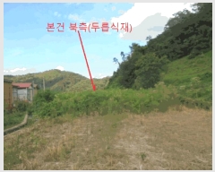  2025Ÿ��5388 ��� ��õ�� ����� ���⸮ 480-2      ����(��)���