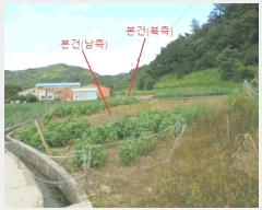  2025Ÿ��5388 ��� ��õ�� ����� ���⸮ 480-2      ����(��)���