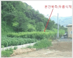  2025Ÿ��5388 ��� ��õ�� ����� ���⸮ 480-2      ����(��)���