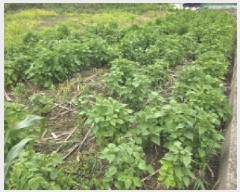  2025Ÿ��5388 ��� ��õ�� ����� ���⸮ 480-2      ����(��)���