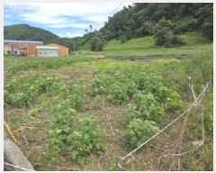  2025Ÿ��5388 ��� ��õ�� ����� ���⸮ 480-2      ����(��)���