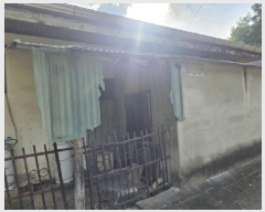  2025Ÿ��5392  ���ð��