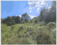  2025Ÿ��5406  �Ӿ߰��