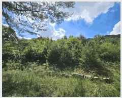  2025Ÿ��5406  �Ӿ߰��