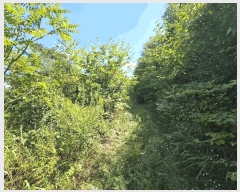  2025Ÿ��5406  �Ӿ߰��