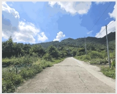  2025Ÿ��5406  �Ӿ߰��