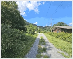  2025Ÿ��5406  �Ӿ߰��