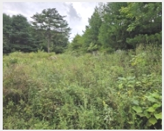  2025Ÿ��5406  �Ӿ߰��