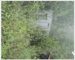  2025Ÿ��5410  �����