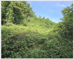  2025Ÿ��5410  �����