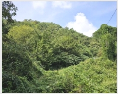  2025Ÿ��5410  �����