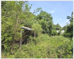  2025Ÿ��5410  �����