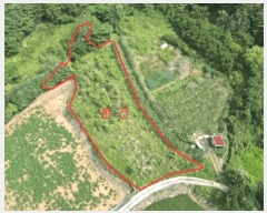  2025Ÿ��5414 ��� ��õ�� ����� ������ 671      ����(��1)���