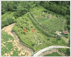  2025Ÿ��5414 ��� ��õ�� ����� ������ 671      ����(��1)���