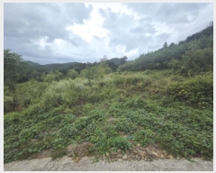  2025Ÿ��5414 ��� ��õ�� ����� ������ 671      ����(��1)���