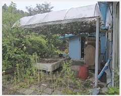  2025Ÿ��5418  ���ð��