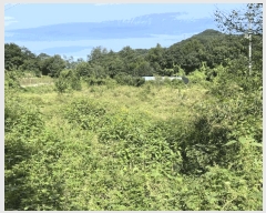  2025Ÿ��5422 ��� ��õ�� �ݼ��� ������ 200      ����(��1)���