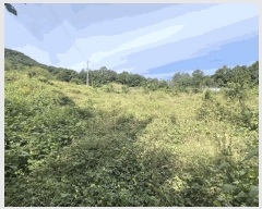  2025Ÿ��5422 ��� ��õ�� �ݼ��� ������ 200      ����(��1)���