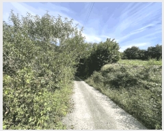  2025Ÿ��5422 ��� ��õ�� �ݼ��� ������ 200      ����(��1)���