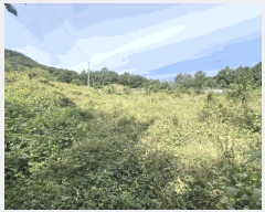  2025Ÿ��5422 ��� ��õ�� �ݼ��� ������ 200      ����(��1)���