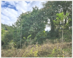  2025Ÿ��5436  �����