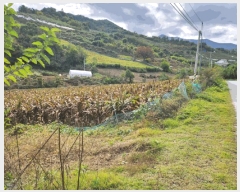  2025Ÿ��5436  �����