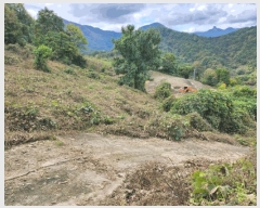  2025Ÿ��5436  �����