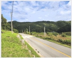  2025Ÿ��5436  �����