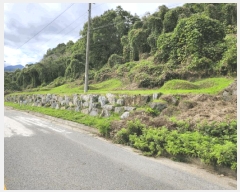  2025Ÿ��5436  �����