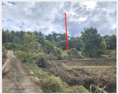  2025Ÿ��5436  �����