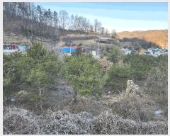  2025Ÿ��39 ��� ������ ���� �λ� 622-1      ����(����)���