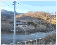  2025Ÿ��39 ��� ������ ���� �λ� 622-1      ����(����)���