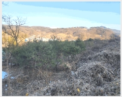  2025Ÿ��39 ��� ������ ���� �λ� 622-1      ����(����)���