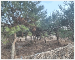  2025Ÿ��39 ��� ������ ���� �λ� 622-1      ����(����)���