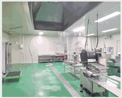  2025Ÿ��47  ������