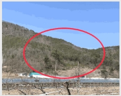  2025Ÿ59   Ȳ ︮ 4      (Ӿ)