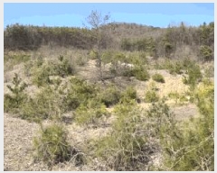  2025Ÿ59   Ȳ ︮ 4      (Ӿ)