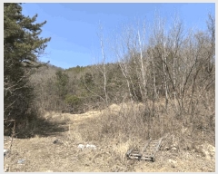  2025Ÿ59   Ȳ ︮ 4      (Ӿ)