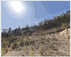  2025Ÿ59   Ȳ ︮ 4      (Ӿ)