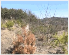  2025Ÿ59   Ȳ ︮ 4      (Ӿ)